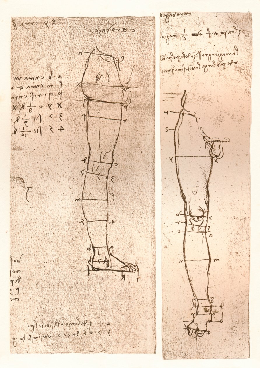 Due disegni che illustrano la teoria delle proporzioni della figura umana, c1472-c1519 1883 da Leonardo da Vinci