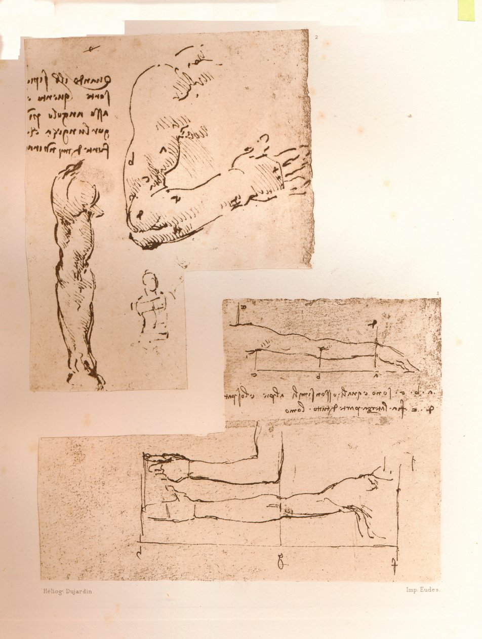 Due disegni che illustrano la teoria delle proporzioni della figura umana, c1472-c1519, 1883 da Leonardo da Vinci