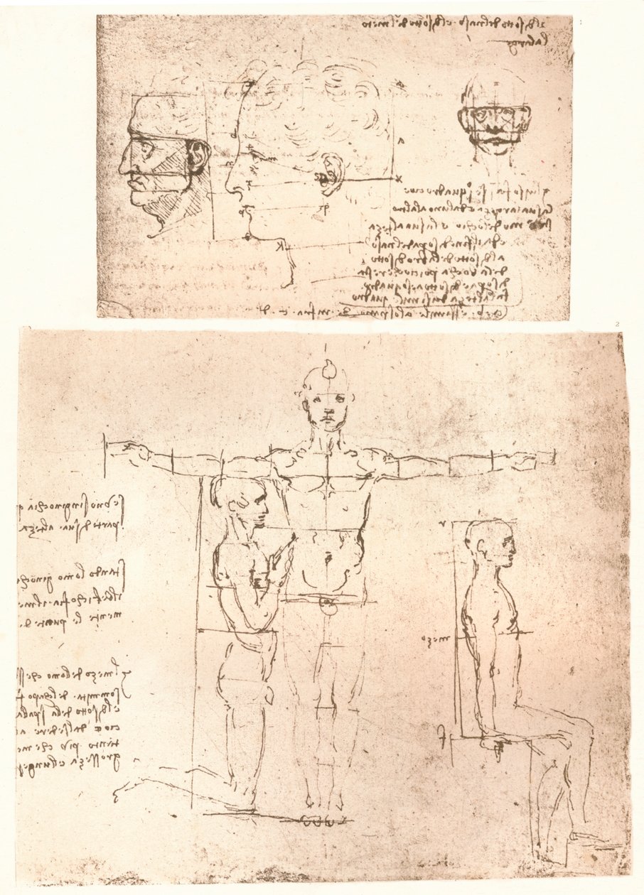 Due disegni che illustrano la teoria delle proporzioni della figura umana da Leonardo da Vinci