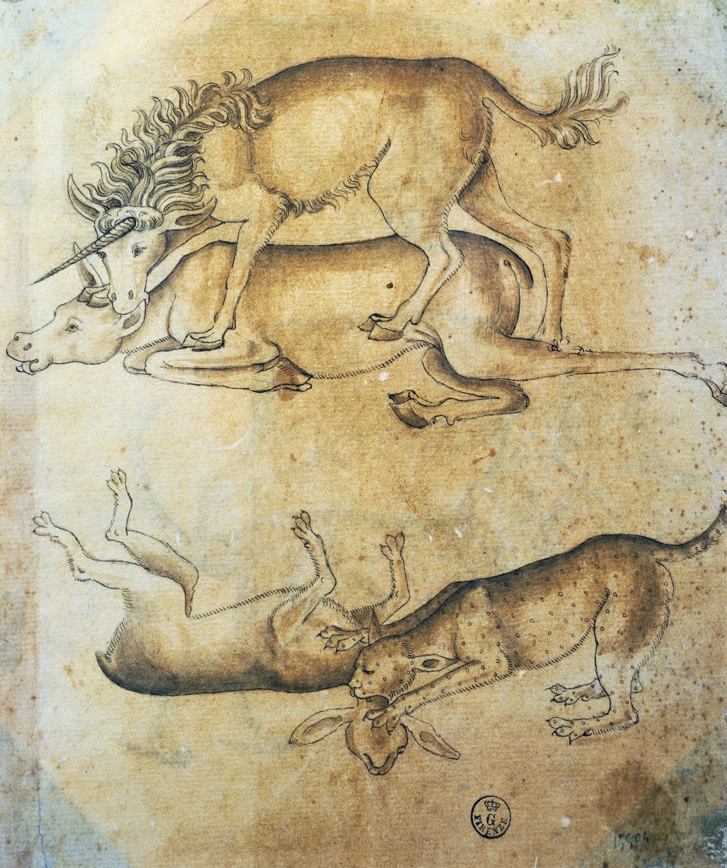 Unicorno che attacca una mucca e leopardo che attacca una pecora, studio di animali, di Leonardo da Vinci, disegno da Leonardo da Vinci