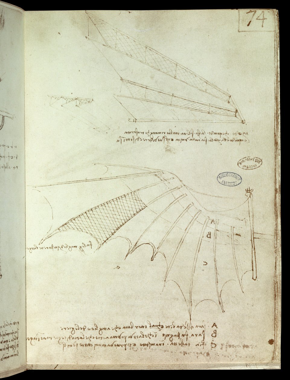 Ala. Disegno di macchina volante. Manoscritto di Leonardo da Vinci da Leonardo da Vinci