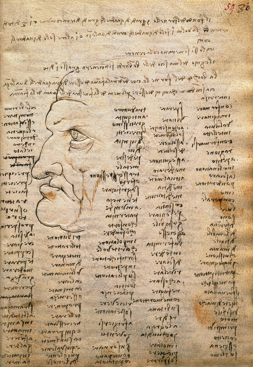 Elenco di parole e profilo maschile, dal Codex Trivulzianus da Leonardo da Vinci