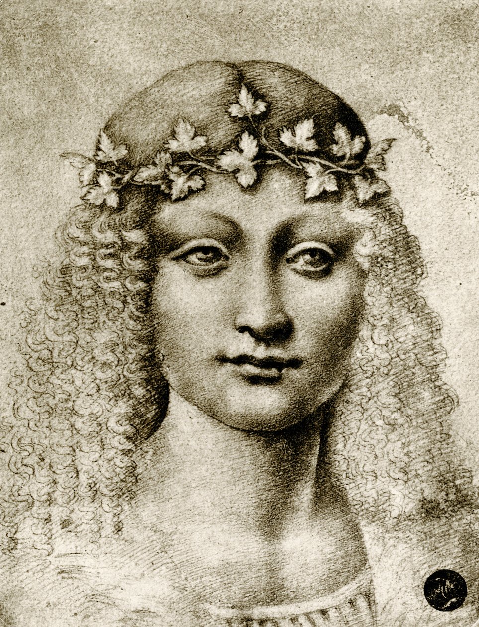 Testa di una ragazza incoronata di vite da Leonardo da school of Vinci