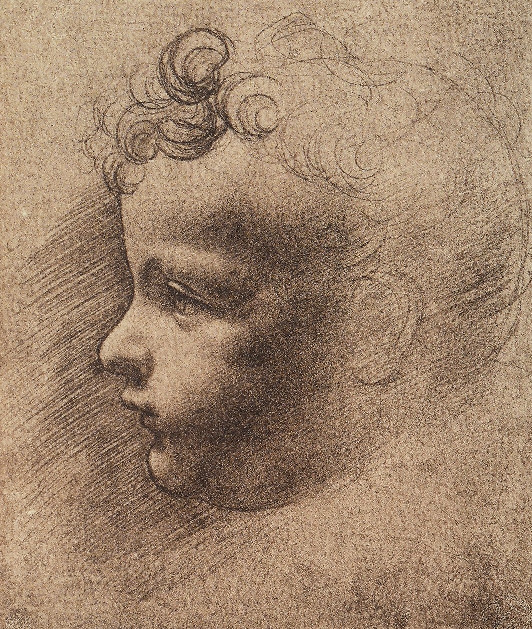 Testa di un bambino piccolo da Leonardo da school of Vinci
