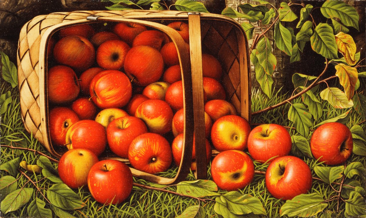 Cesto di mele da Levi Wells Prentice