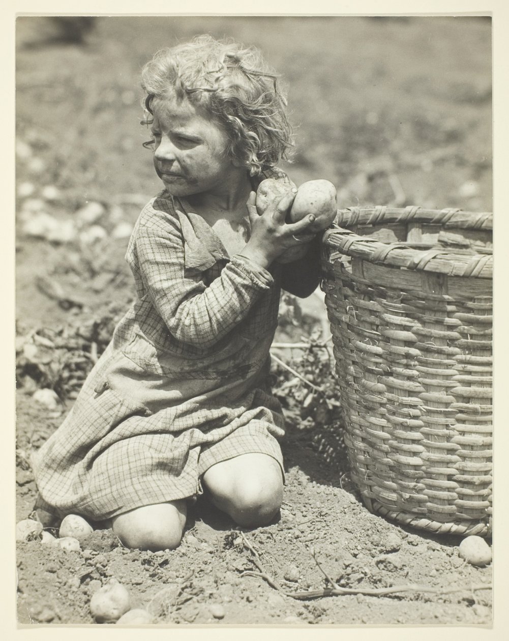 Il lavoro minorile in fattoria da Lewis Wickes Hine