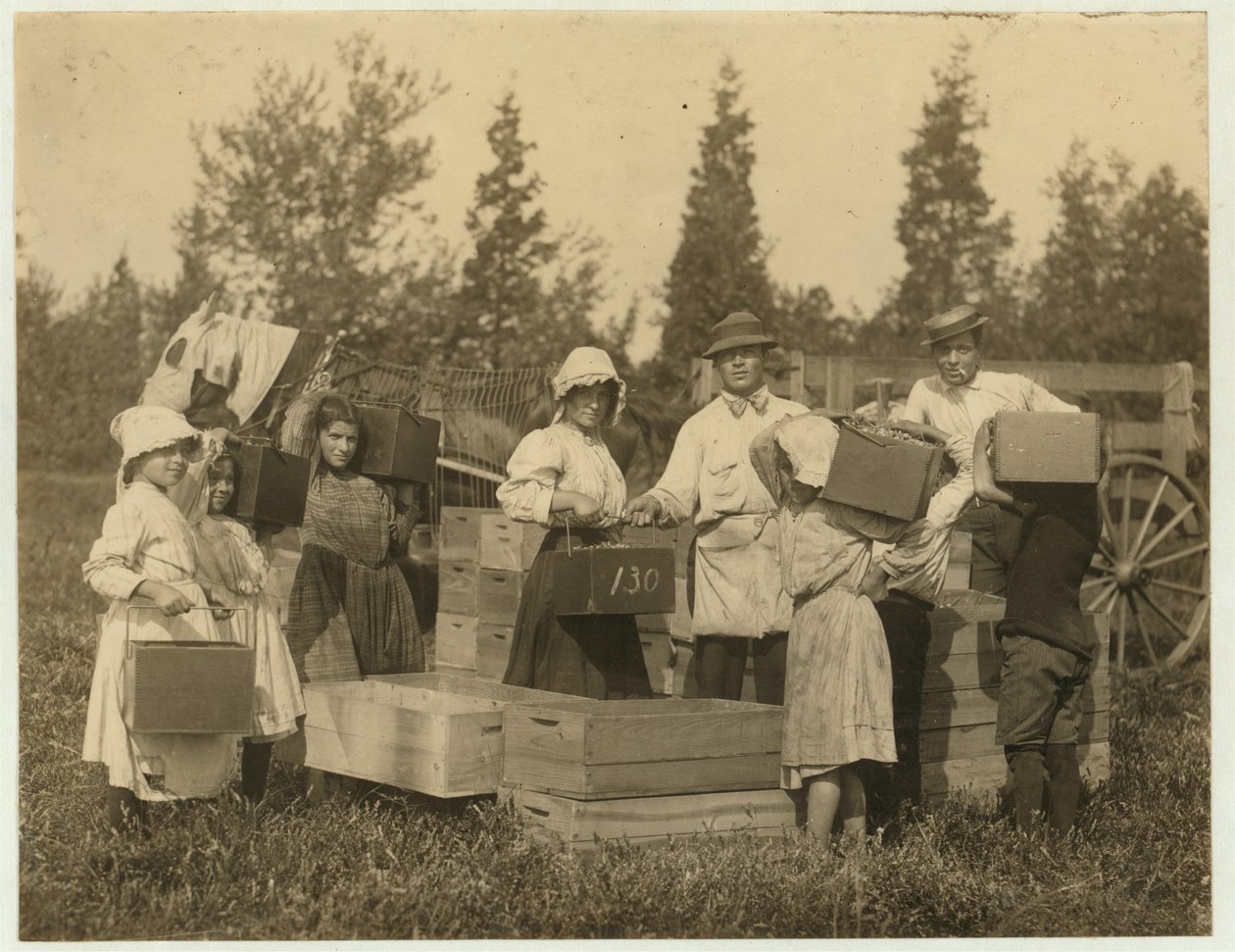 Bambini che portano i loro mirtilli rossi al misuratore al bog di Theodore Budd, Turkeytown vicino a Pemberton, New Jersey, 1910 da Lewis Wickes Hine