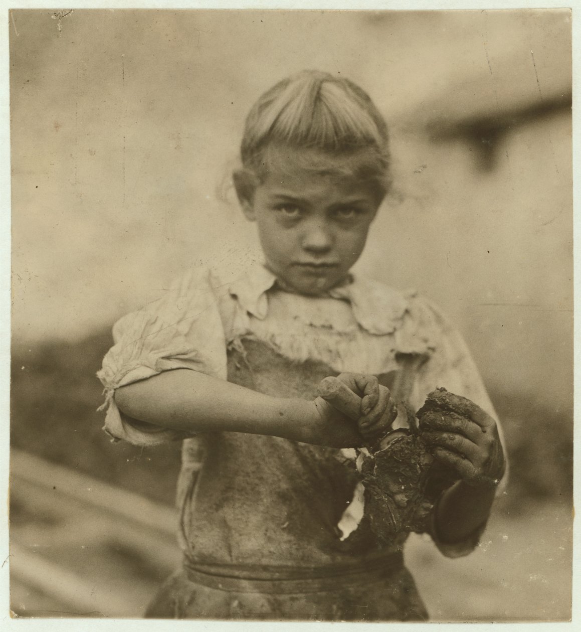 Rosie, 7 anni, analfabeta, lavora per il secondo anno come sgusciatrice di ostriche alla Varn und Platt Canning Company, Bluffton, South Carolina da Lewis Wickes Hine
