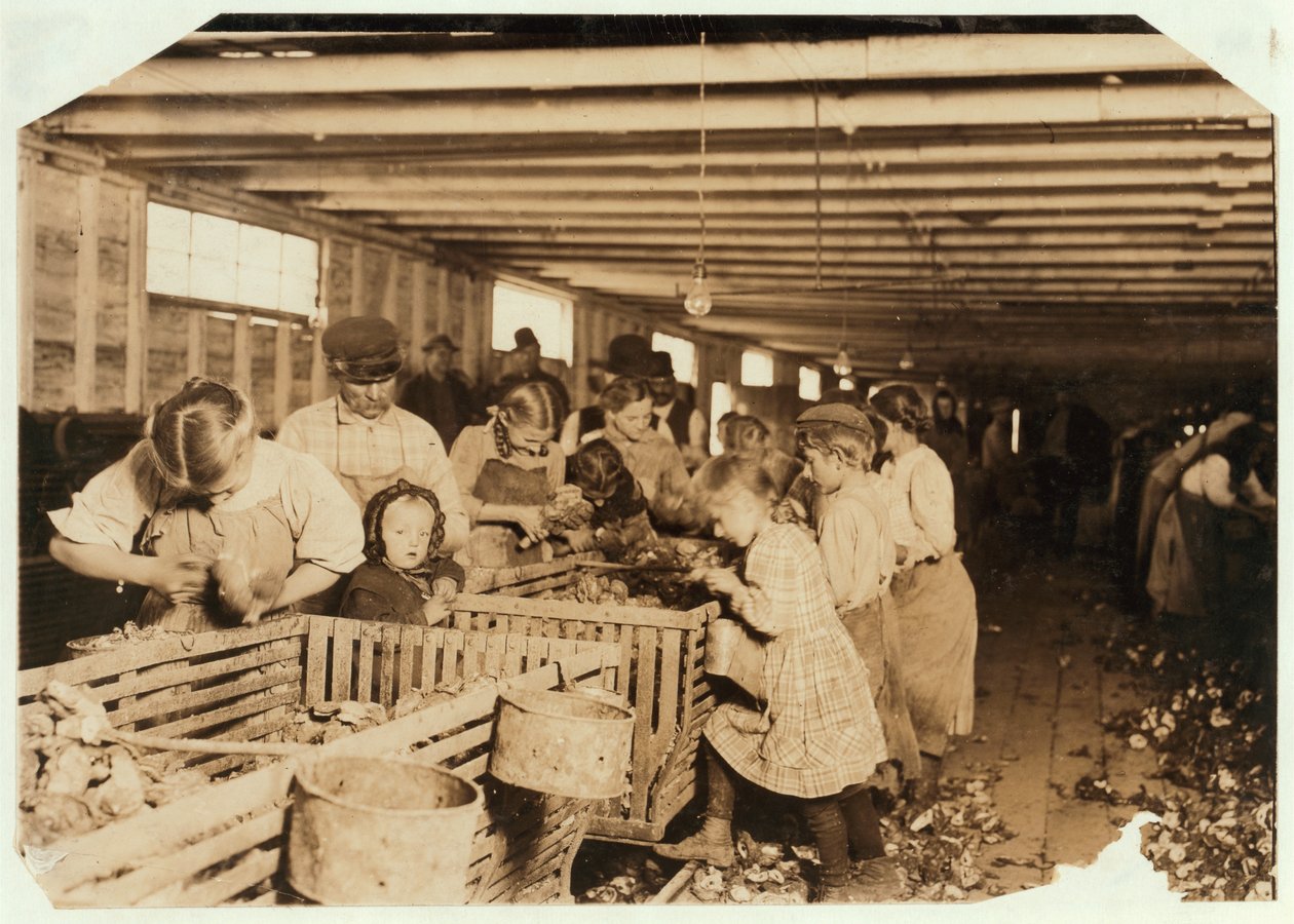 Rosy di 8 anni lavora 14 ore al giorno come sgusciatrice di ostriche alla Dunbar Cannery, Louisiana, 1911 da Lewis Wickes Hine