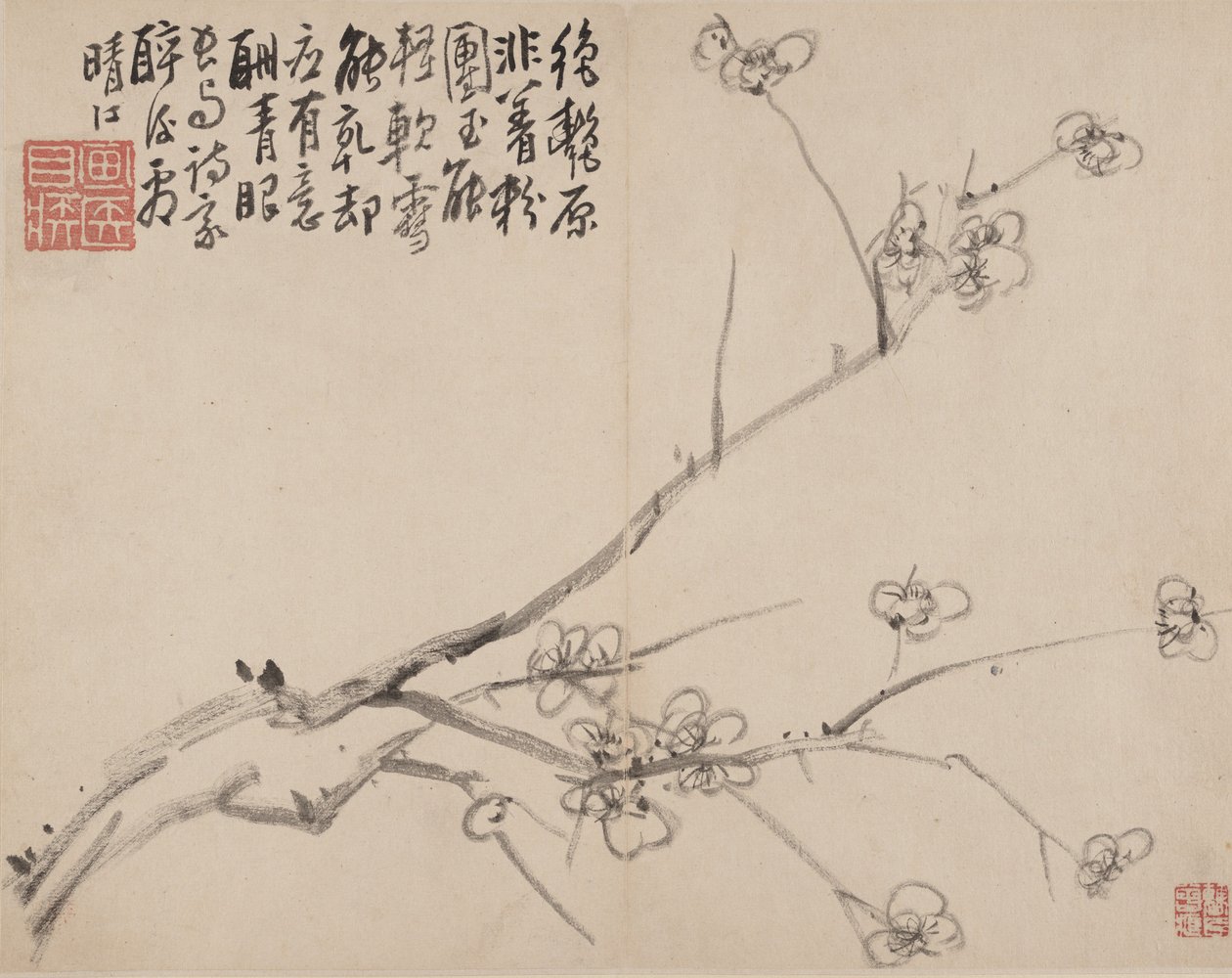 Album di prugne in fiore, 1742 da Li Fangying
