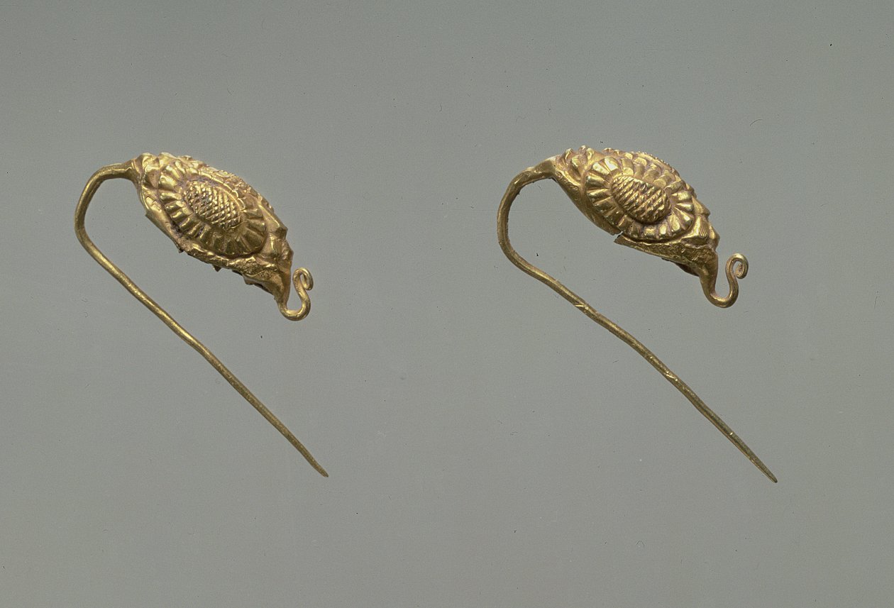 Coppia di orecchini d