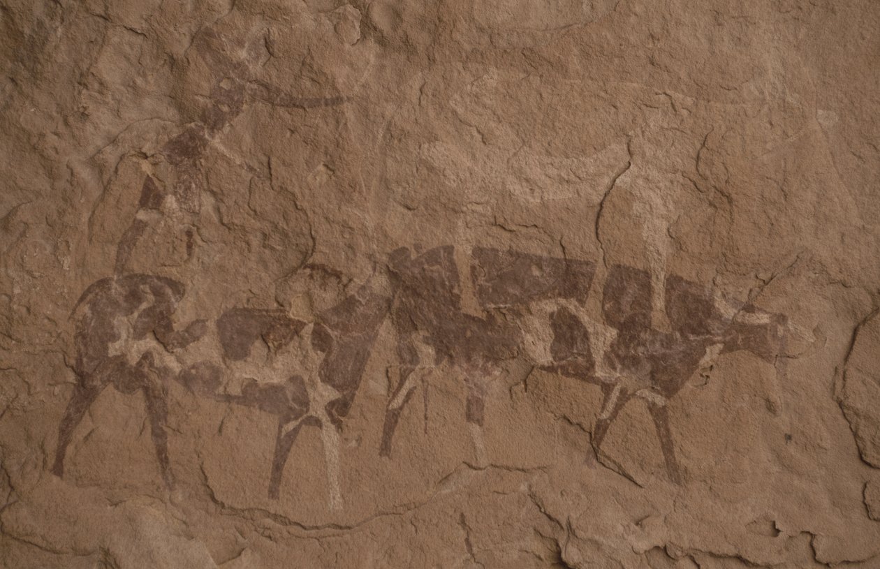Bovini e figure umane, pittura rupestre, Oued in Djeran, vicino a Djanet, Tassili n