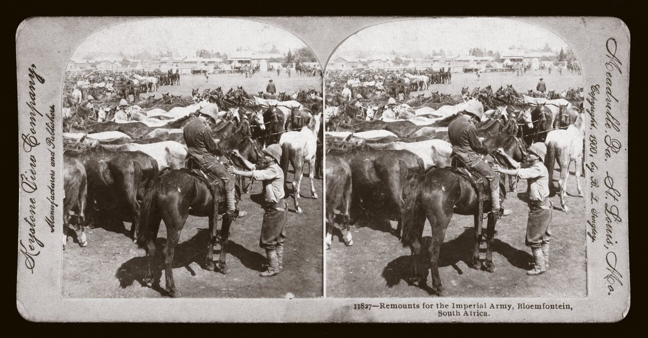 Guerra dei Boeri (Sudafrica) da Unbekannt Unbekannt