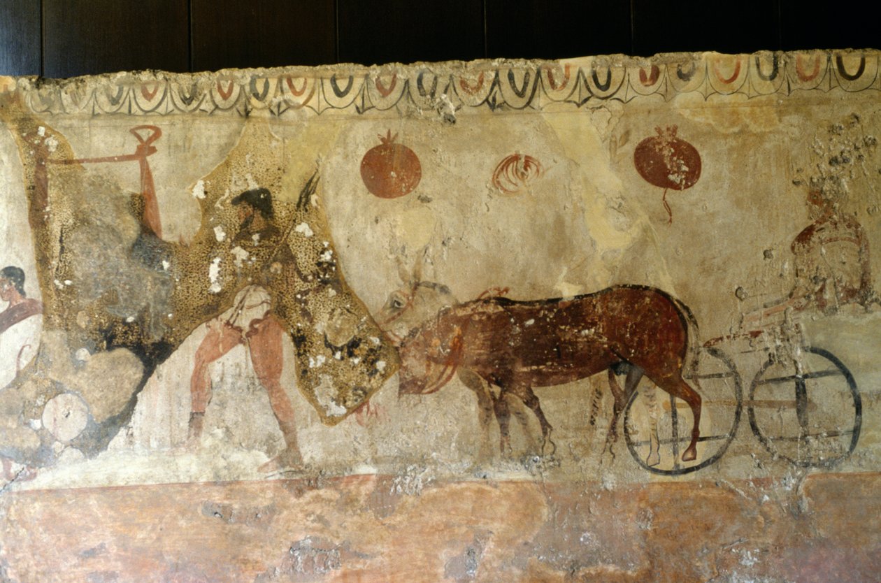 Viaggio nell