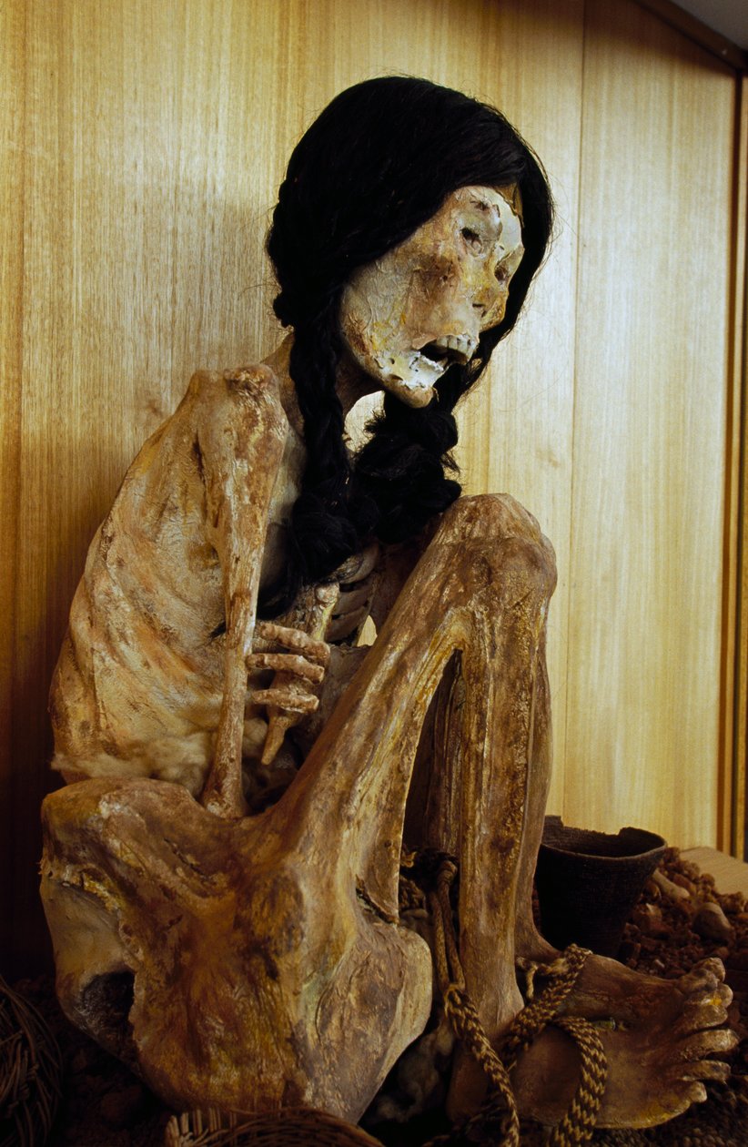 Mummia conosciuta come Miss Cile, da San Pedro de Atacama, Cile, 500 a.C. da Unbekannt Unbekannt