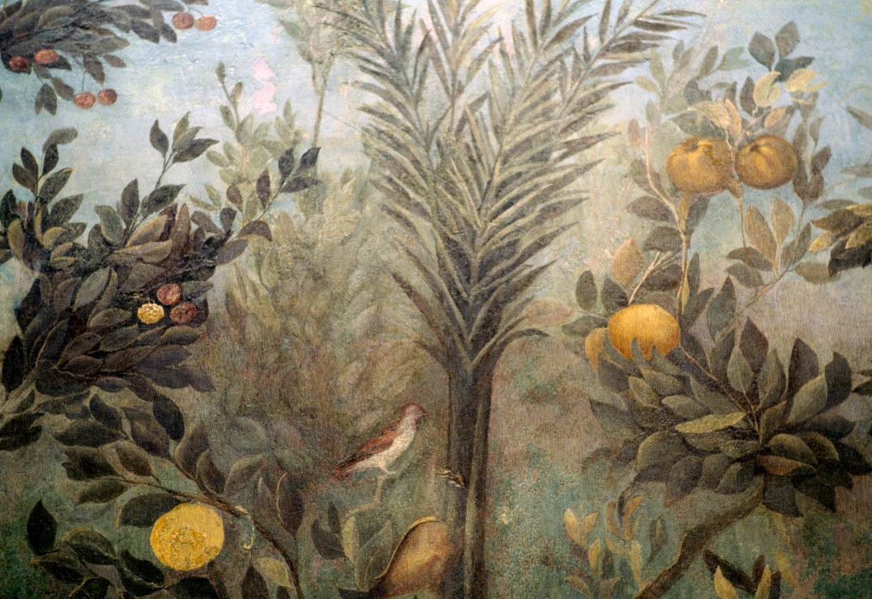 Albero di melograno, dettaglio da un affresco raffigurante un giardino con alberi da frutto e uccelli, dalla Casa di Livia sul Palatino, Roma, Italia. Civiltà romana da Unbekannt Unbekannt