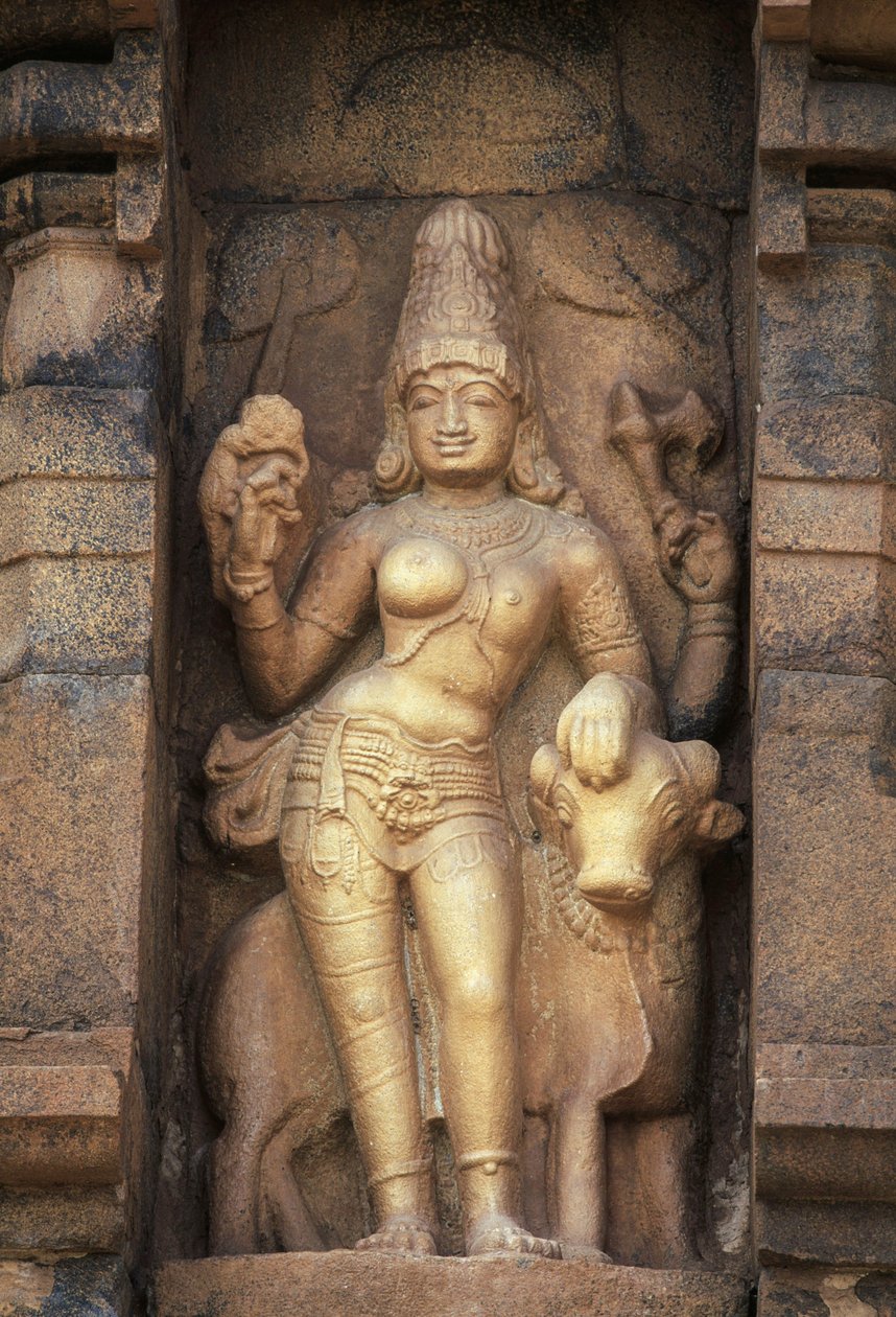 Rilievo che raffigura Parvati, tempio Brihadisvara, Gangaikonda Cholapuram, Tamil Nadu, India da Unbekannt Unbekannt