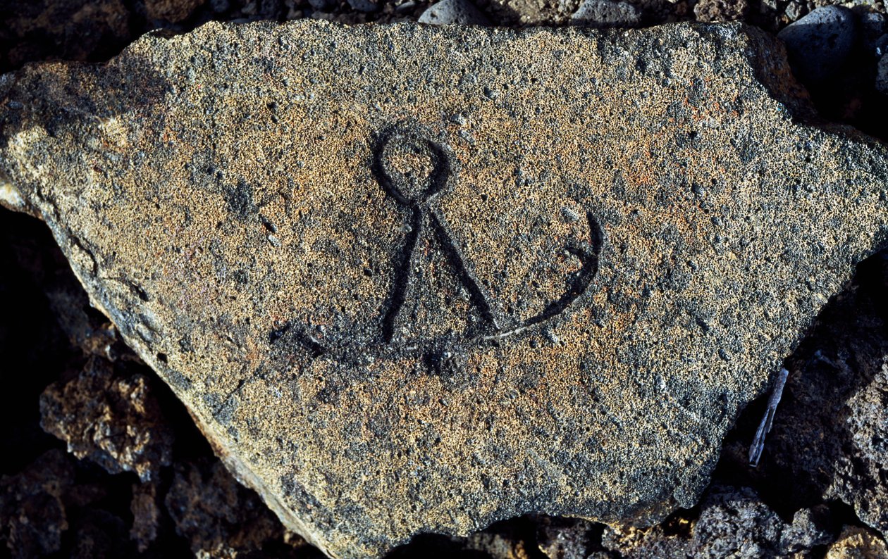 Incisione su pietra, Distretto Archeologico dei Petroglifi di Puako, Isola di Hawaii, Stati Uniti da Unbekannt Unbekannt