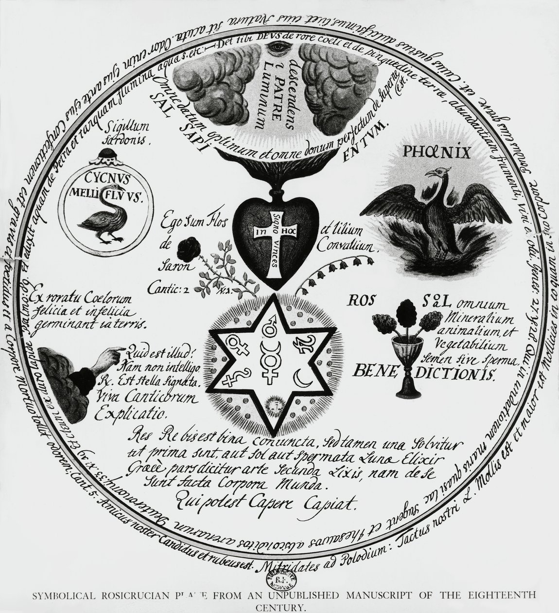 Simboli dei Rosacroce, disegno da manoscritto del XVIII secolo, Francia da Unbekannt Unbekannt