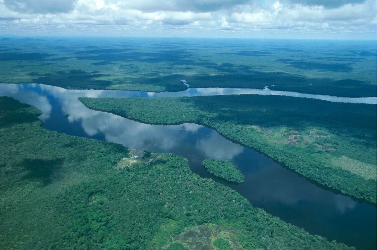 Venezuela, Guayana, Stato di Amazonas, fiume Orinoco, vista aerea da Unbekannt Unbekannt