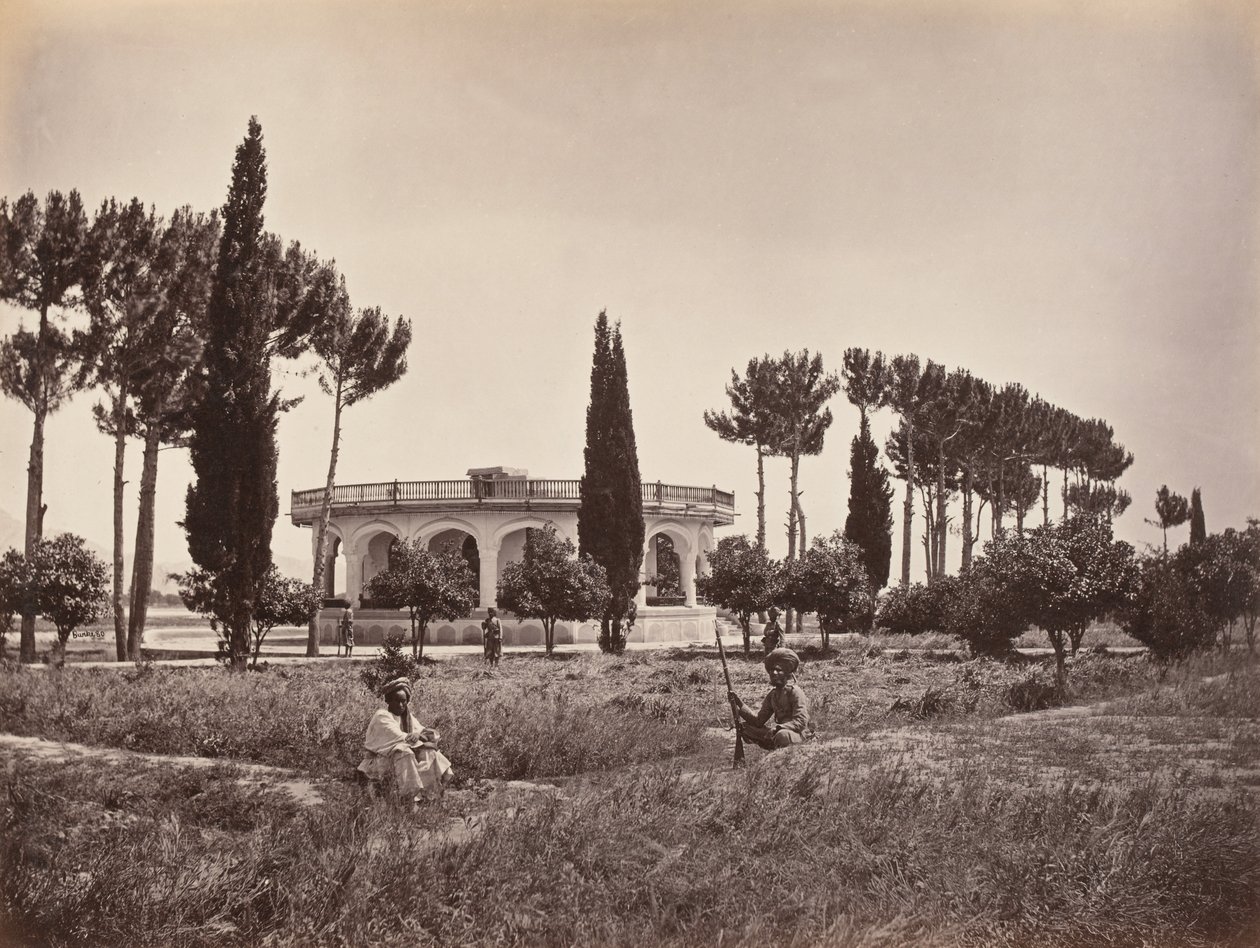 Il giardino dell