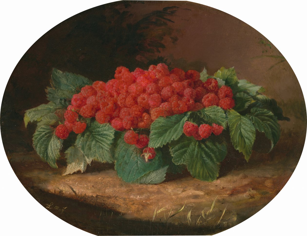 Lamponi, c. 1859 da Lilly Martin Spencer