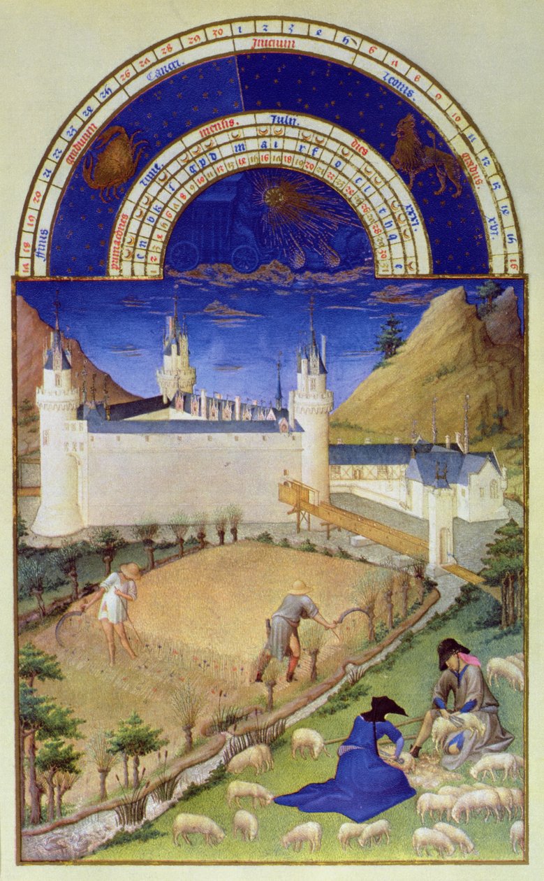 Facsimile di Luglio: Raccolta e tosatura delle pecore, dal 