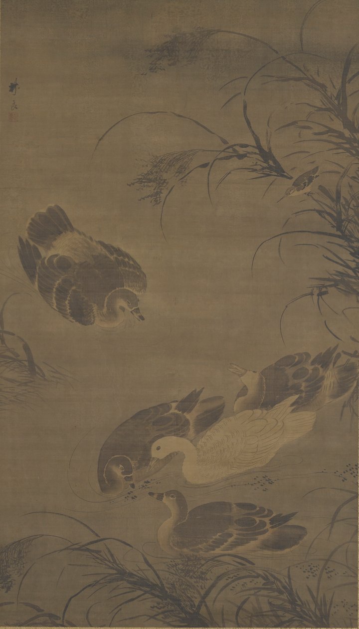 Oche Nuotatrici, Dinastia Ming, XV secolo da Lin Liang