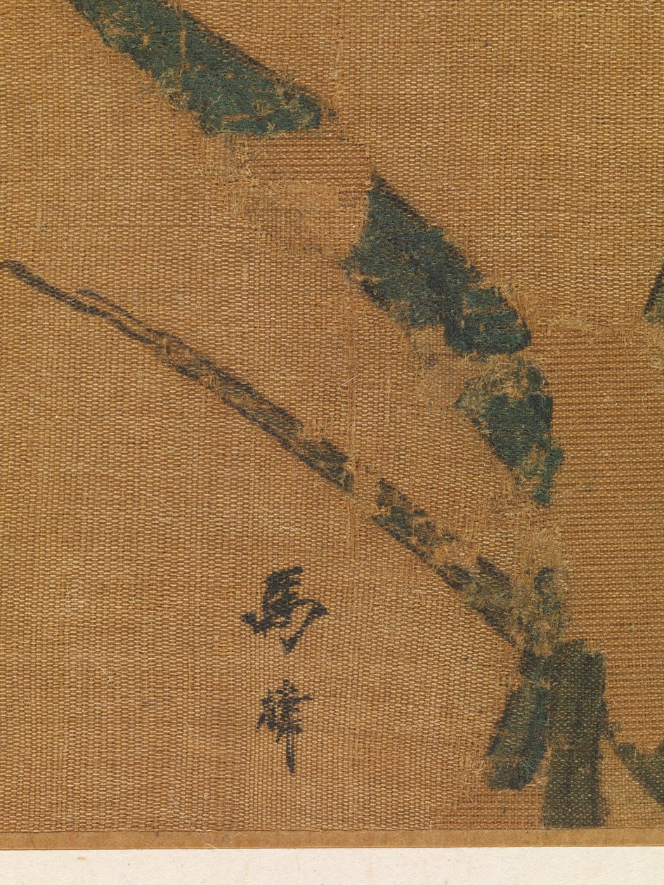 Orchidee, secondo quarto del XIII secolo (foglia d