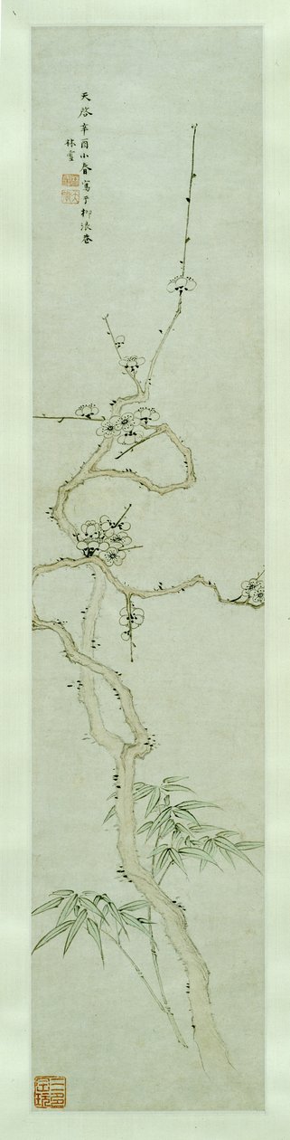 Prunus e bambù da Lin Xue