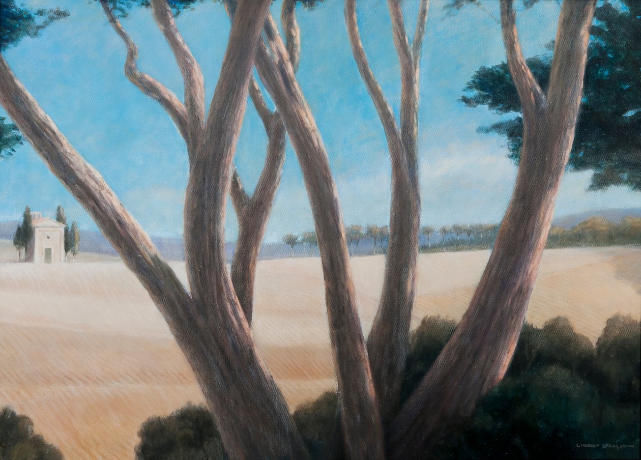 Pini vicino a Pienza, 2012 da Lincoln Seligman