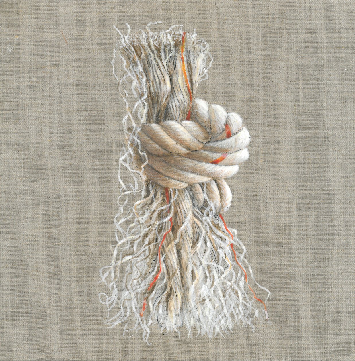 Nodo di corda da Lincoln Seligman