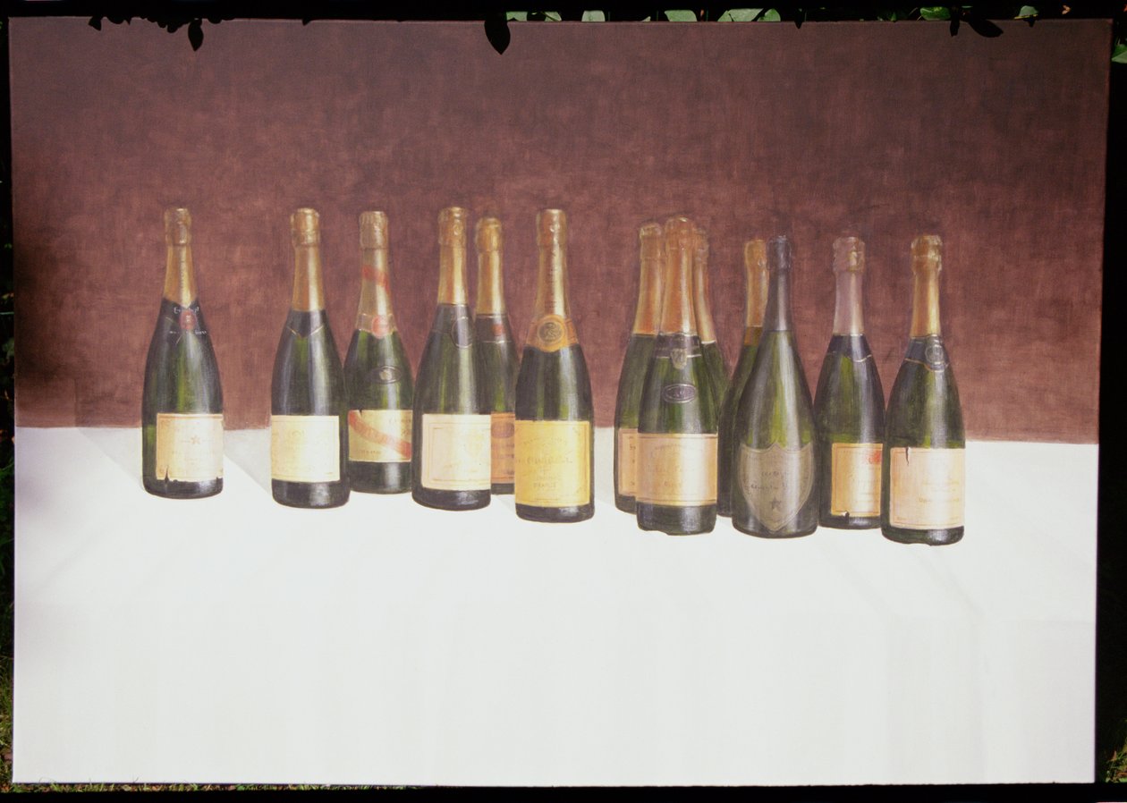 Paesaggio vinicolo, Champagne, 2003 da Lincoln Seligman