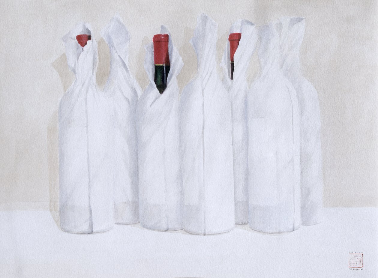 Bottiglie Avvolte 3, 2003 da Lincoln Seligman