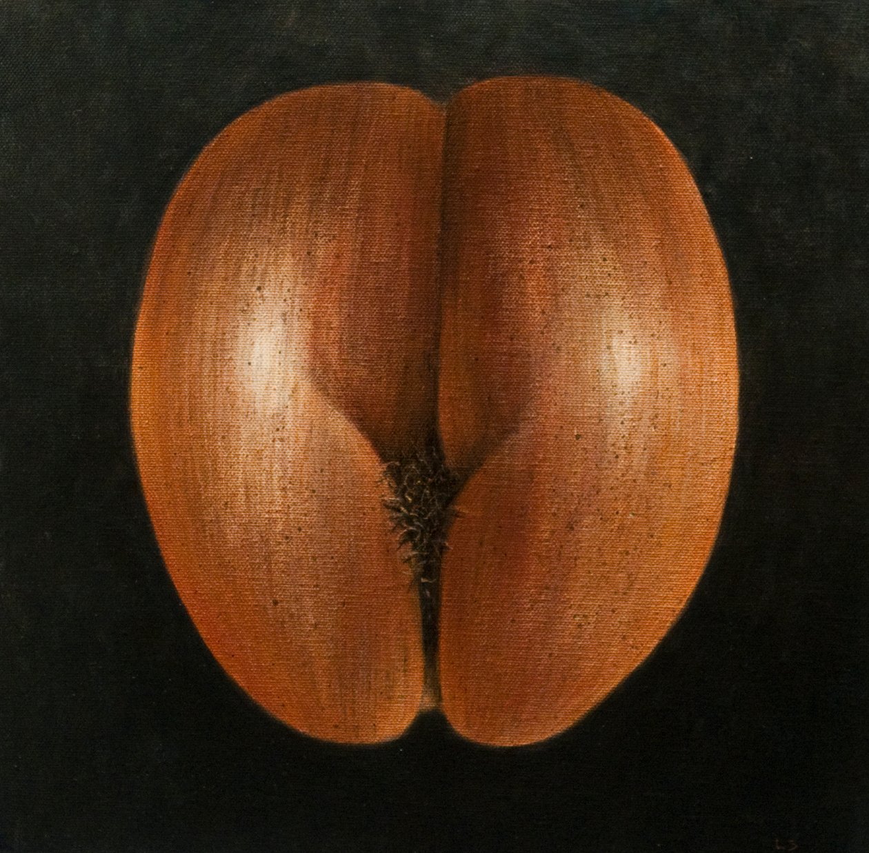 Coco de Mer, 2010 da Lincoln Seligman