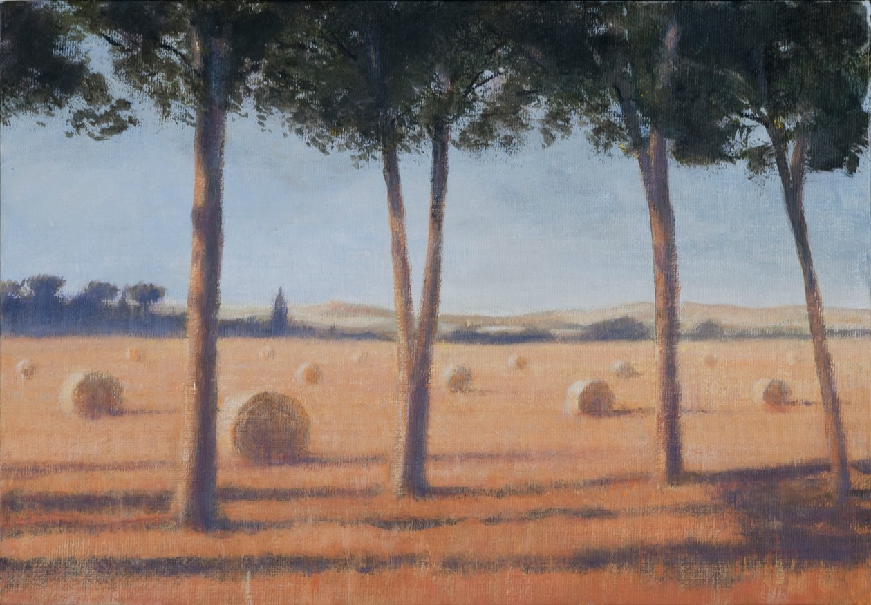 Balle di fieno e pini, Pienza, 2012 da Lincoln Seligman