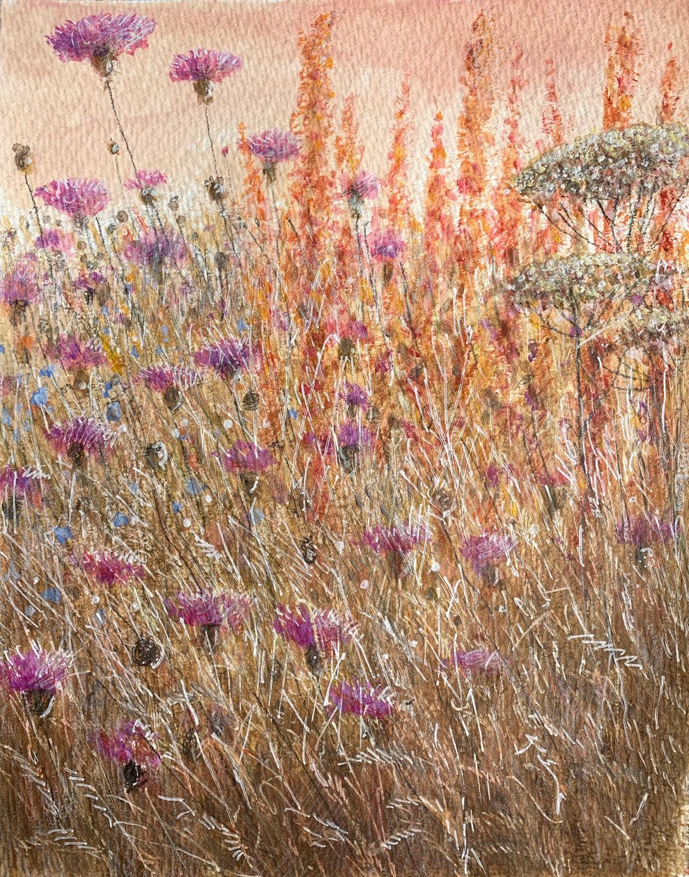 Scabiosa e banchine da Lincoln Seligman