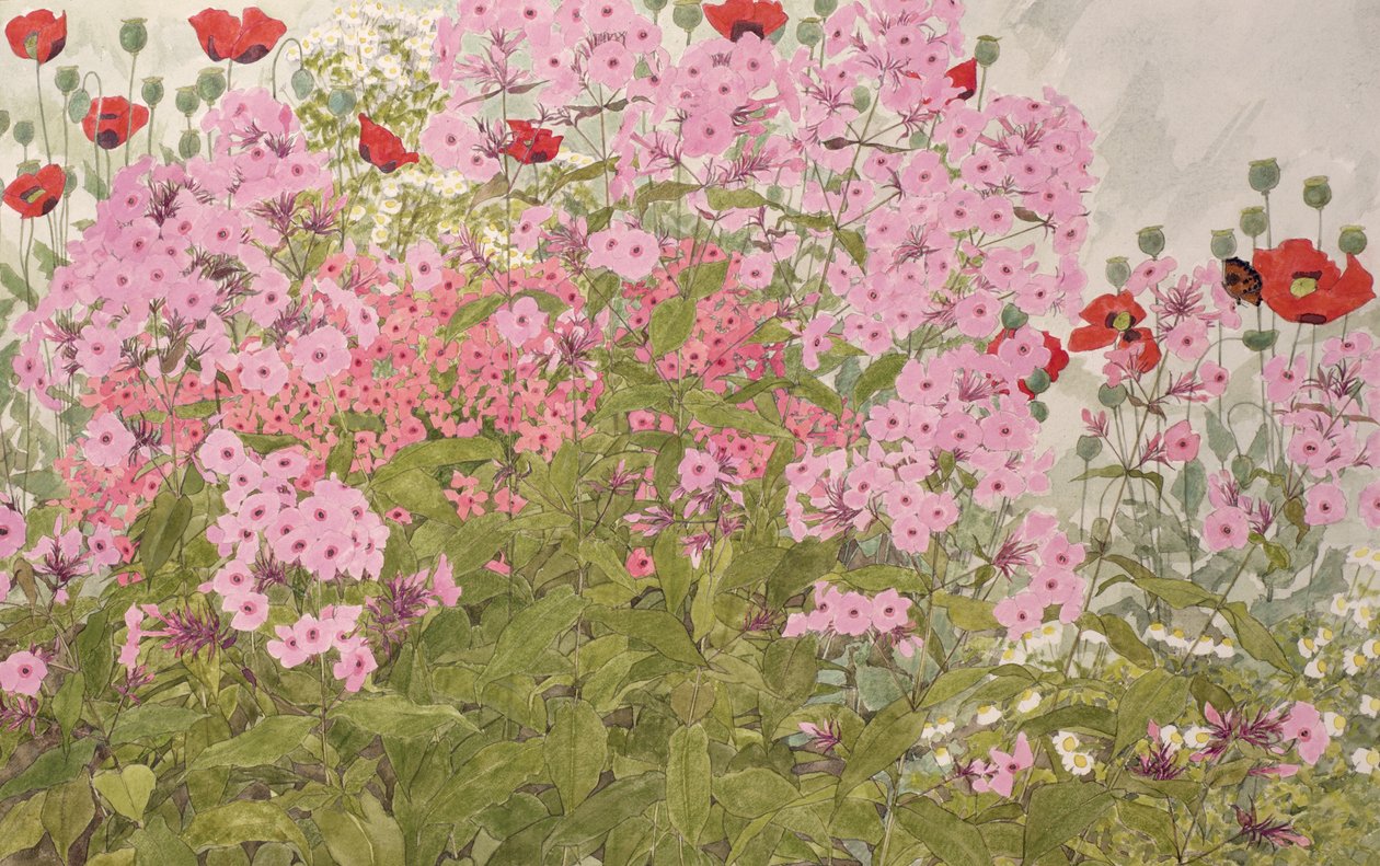 Phlox rosa e papaveri con una farfalla da Linda Benton