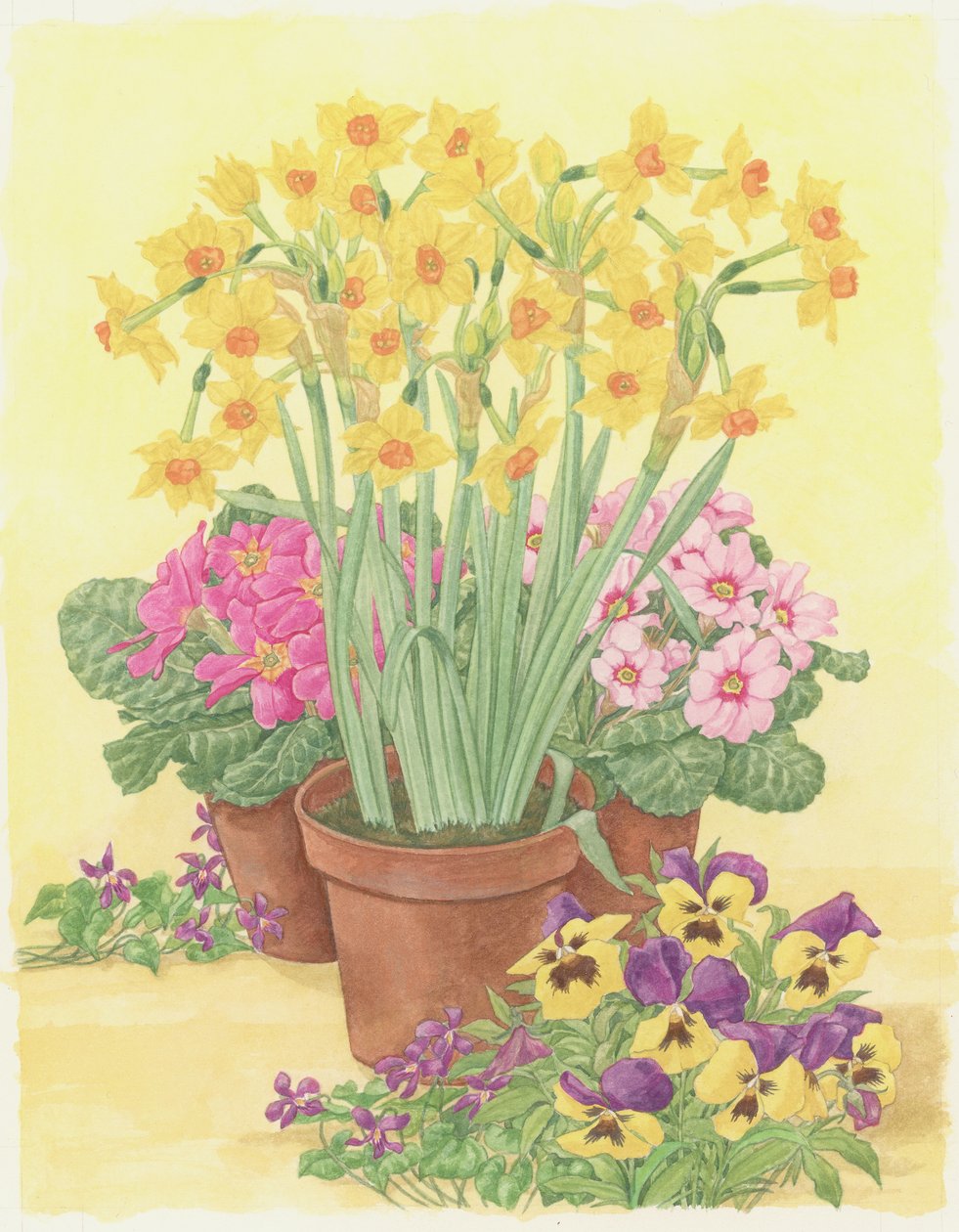 Vasi di fiori primaverili da Linda Benton