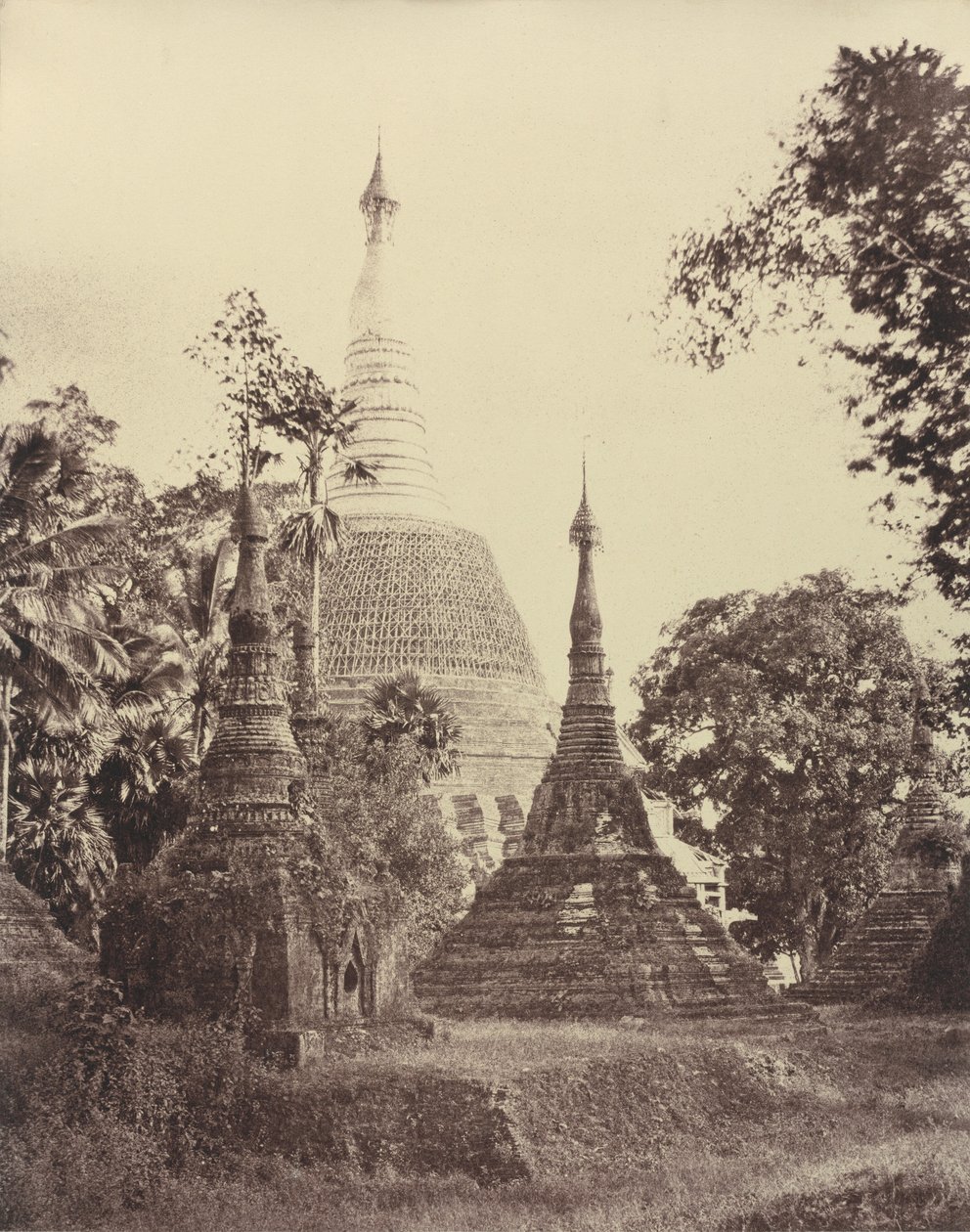 Rangoon: Vista ravvicinata della Pagoda Shwe Dagon da Linnaeus Tripe