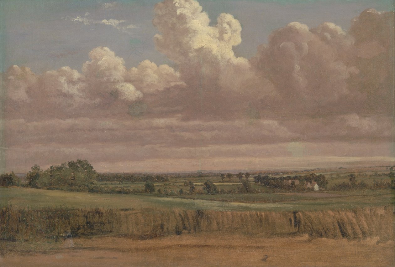 Paesaggio con campo di grano, c.1850s da Lionel Constable