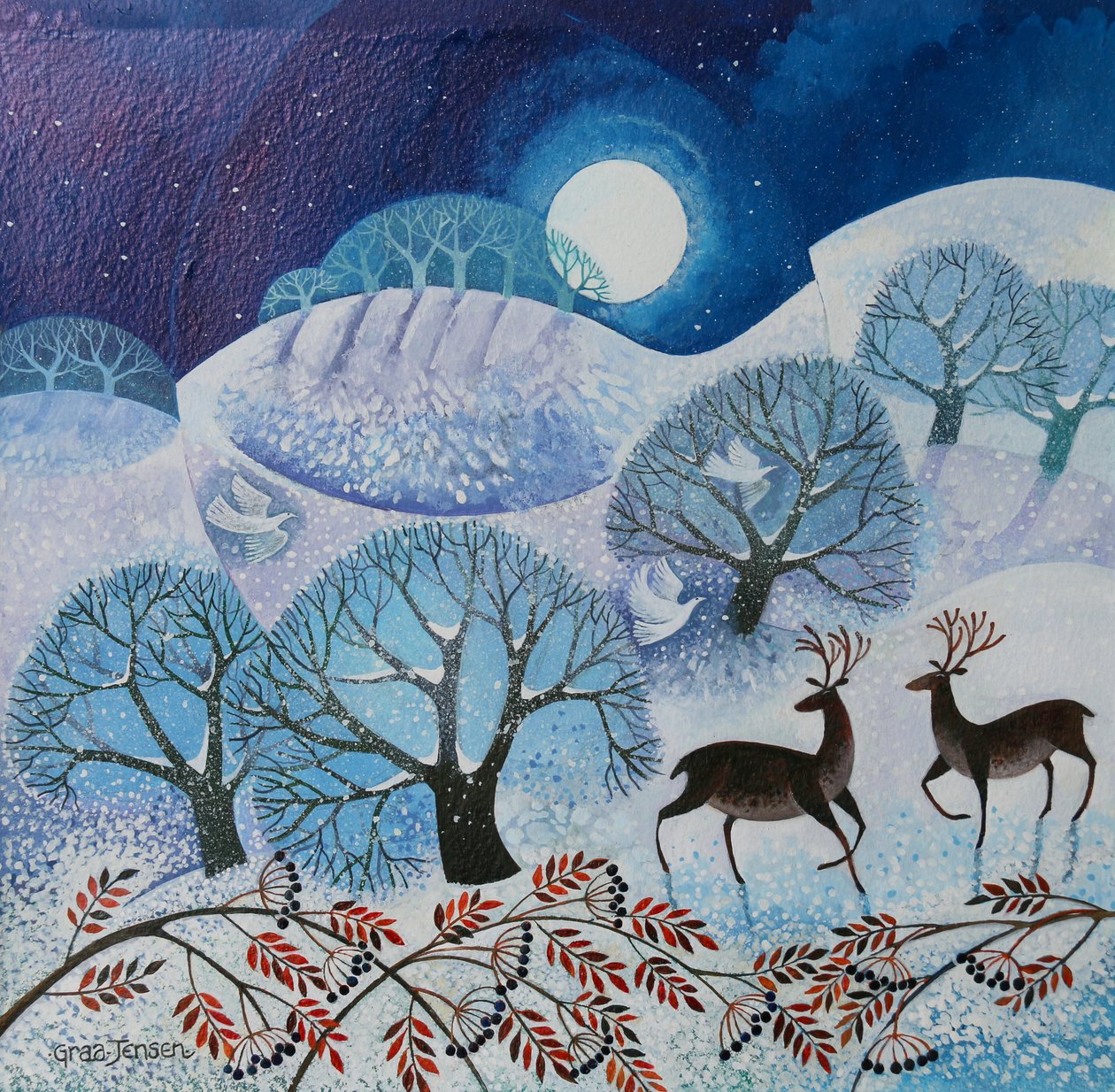 Terra Nevosa da Lisa Graa Jensen