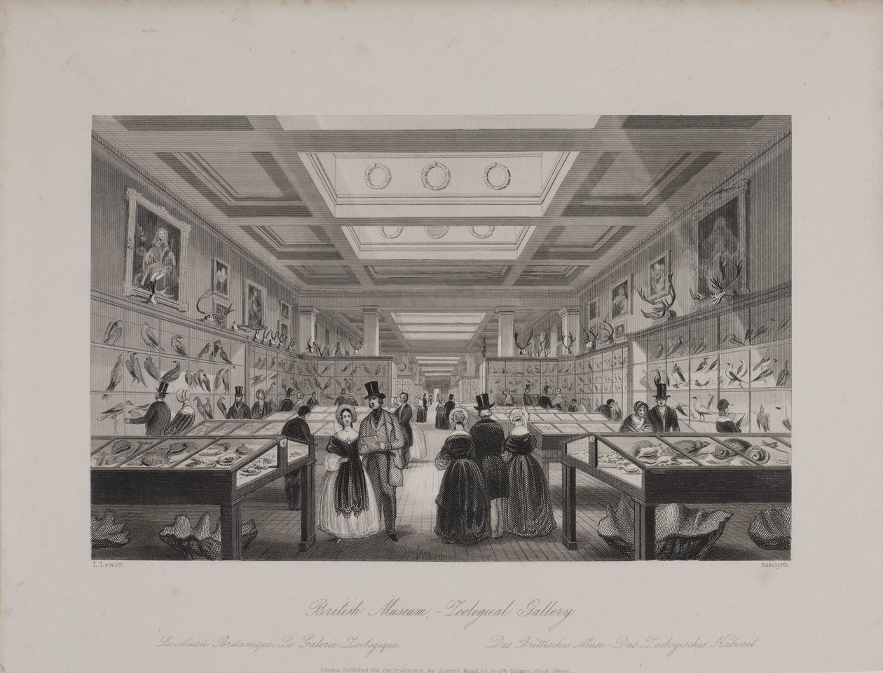 Vista della Galleria Zoologica, Museo Britannico che mostra i visitatori che guardano le esposizioni, c.1850 (incisione) da Llewellyn (after) Jewitt