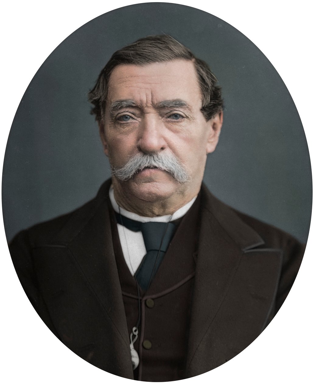 Lord Napier di Magdala, 1878 da Lock and Whitfield