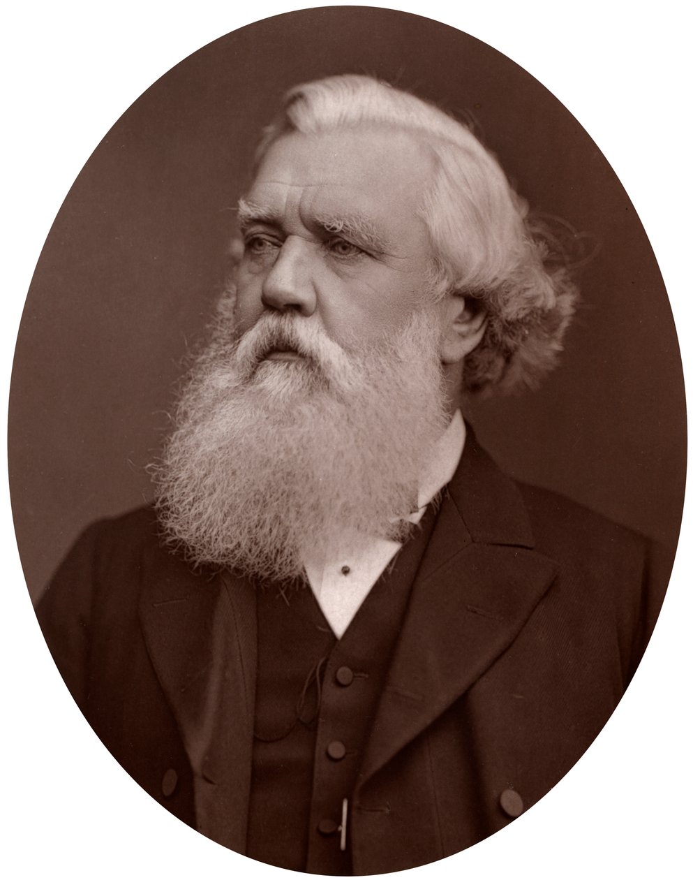 Onorevole Austen Henry Layard DCL, Ambasciatore Britannico a Costantinopoli, 1877 da Lock and Whitfield