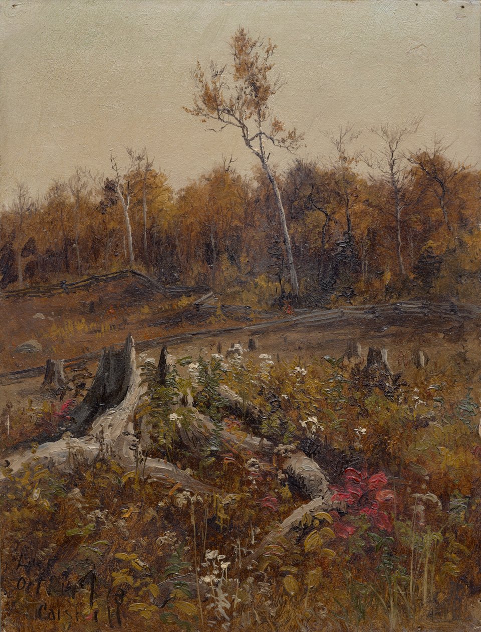 Paesaggio da Lockwood de Forest