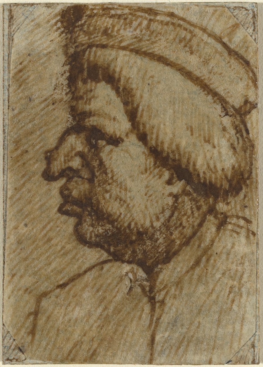 Profilo di un uomo da Lombard 16th Century