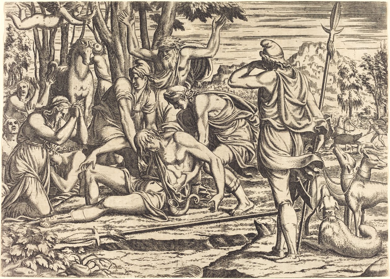 La Morte di Adone da Léon Davent after Luca Penni
