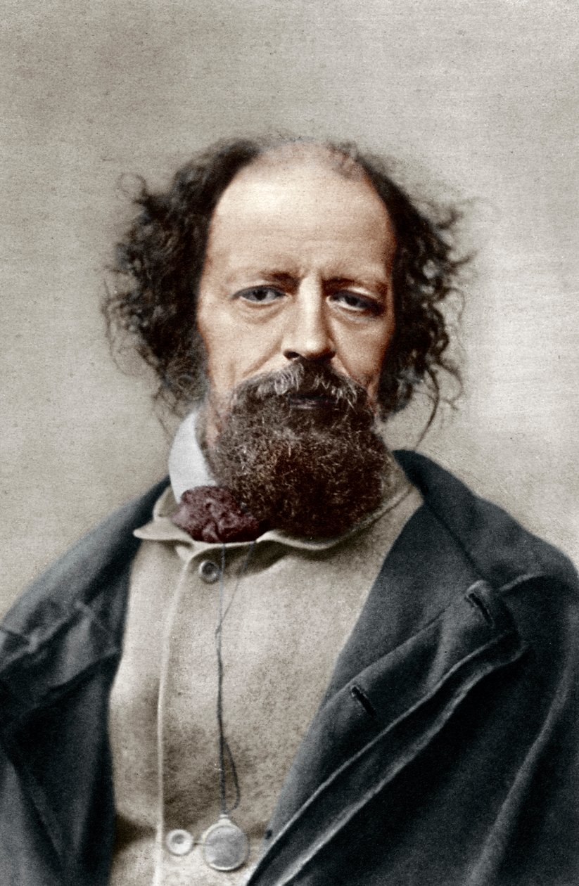 Alfred, Lord Tennyson, Poeta Laureato del Regno Unito, c1867 da London Stereoscopic and Photographic Co