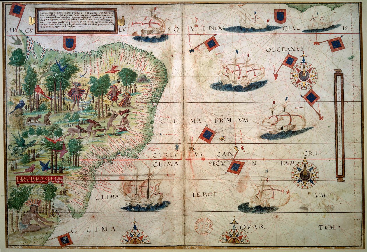 Carta idrografica del Brasile - Manoscritto miniato "Atlante Nautico Portoghese" del cartografo Loppo Homem 1519 Parigi. B.N. - Carta idrografica del Brasile - Dal manoscritto miniato "Atlante Nautico Inglese" di Loppo Homem (XVI secolo) da Lopo Homem
